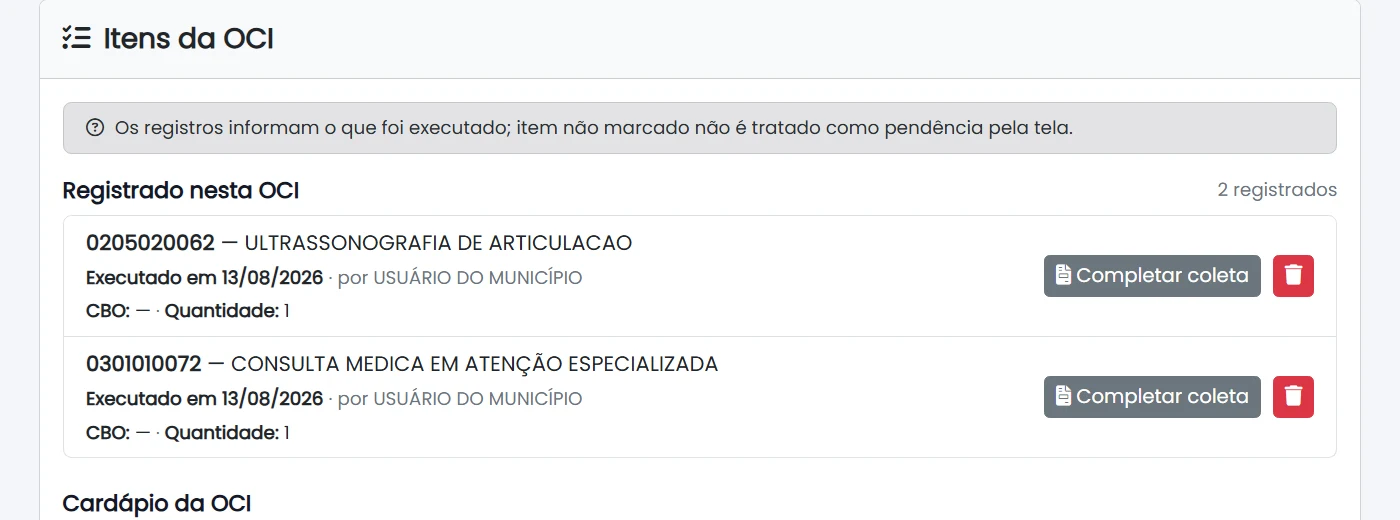 Seção Itens da OCI com dois procedimentos registrados como executados: ultrassonografia de articulação e consulta médica em atenção especializada